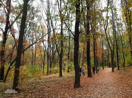 В таганроге ноября