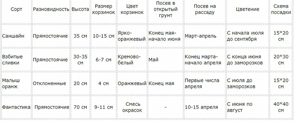 Когда сеять в мае 2025