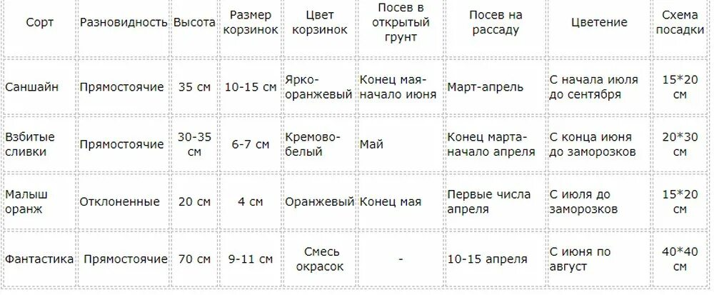 Время посева в 2024 году. Сроки посева бархатцев на рассаду. Срок посевабархацев на рассаду. Посев семян бархатцев на рассаду в апреле 2021. Схема посева семян бархатцев.