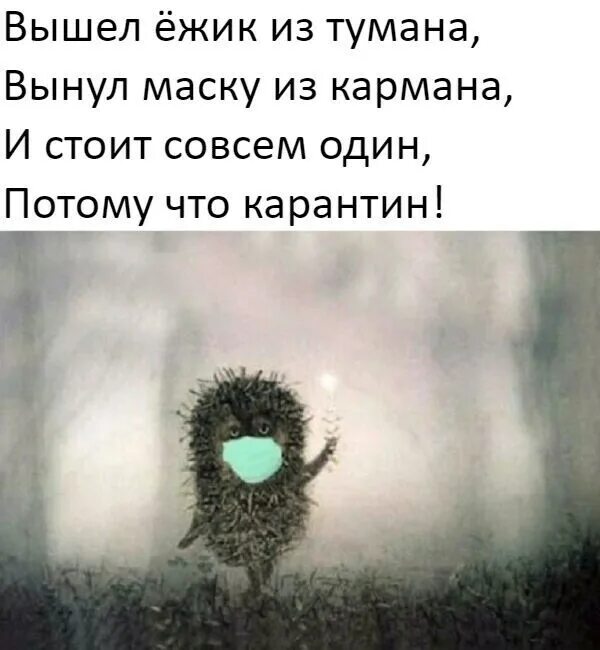 Вышел ежик из тумана содержание. Вышел ёжик из тумана. вышел ёжик из тумана вынул маску. вышел ёжик из тумана вынул маску из кармана. считалочка про ежика в тумане.