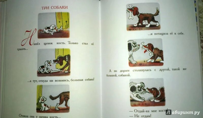 Собачонке было три недели. Сутеев три собаки. Три собаки рассказ Сутеева. Про трех собак книга. Сутеев в.г. "подарок".