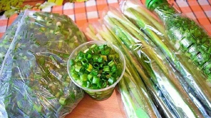 Можно ли морозить лук на зиму. Зеленый лук заморозка. лук на зиму заморозка. заморозка зелени в бутылке. замороженный лук зеленый на зиму.