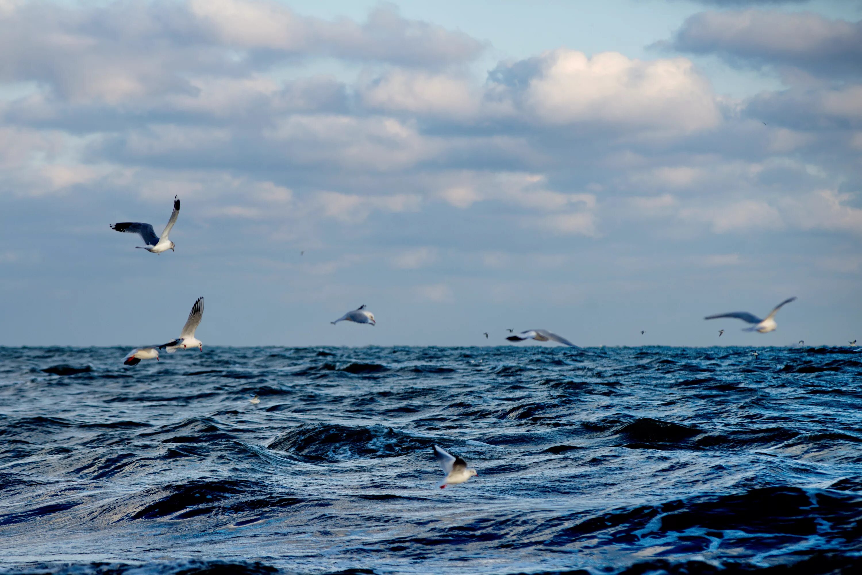 Знаменательное событие на море. Мёртвое море израиль. Иерусалим море. Сладкие сны у моря геншин. Северное море фото.
