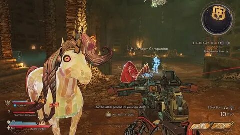 Wonderlands next level edition