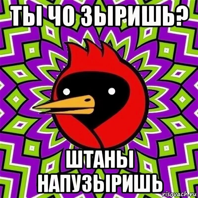 Картинка чо. Чо зыришь Мем. Чо зыришь глаза пузыришь. Омская птица мемы. Картинка че зыришь.