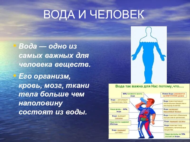 Как действует вода на организм. Вода в человеческом организме. Важность воды для организма человека. Вода одно из самых важных для человека веществ. Вода в органах человека.