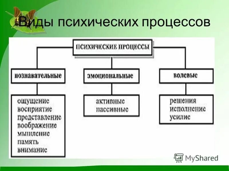основная роль психических процессов. программа развития психических процессов. программа развития психических процессов. психические процессы у дошкольников таблица. психические процессы в психологии.