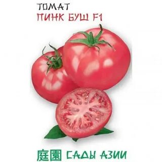 Пинк буш
