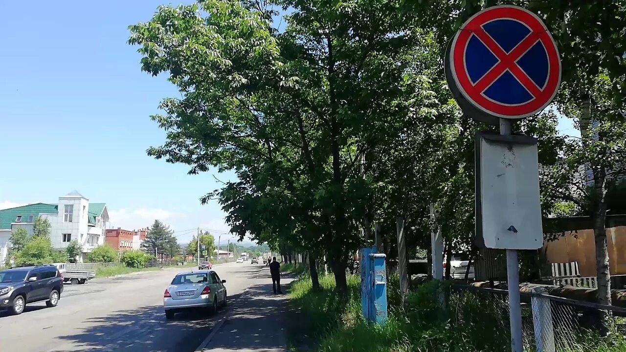 Что делать, если дорожных знаков не видно за листвой