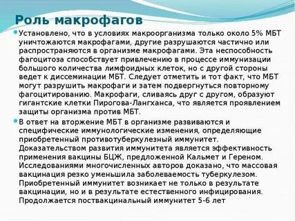 Макрофаги иммунный ответ