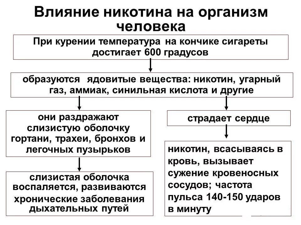 Влияние никотина на организм. Влияние никотина на ор. Воздействие никотина на организм. Механизм воздействия никотина на организм человека.