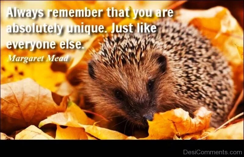 Everyone is like you. Everyone is like you
