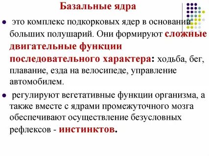Малое и большое ядра есть у
