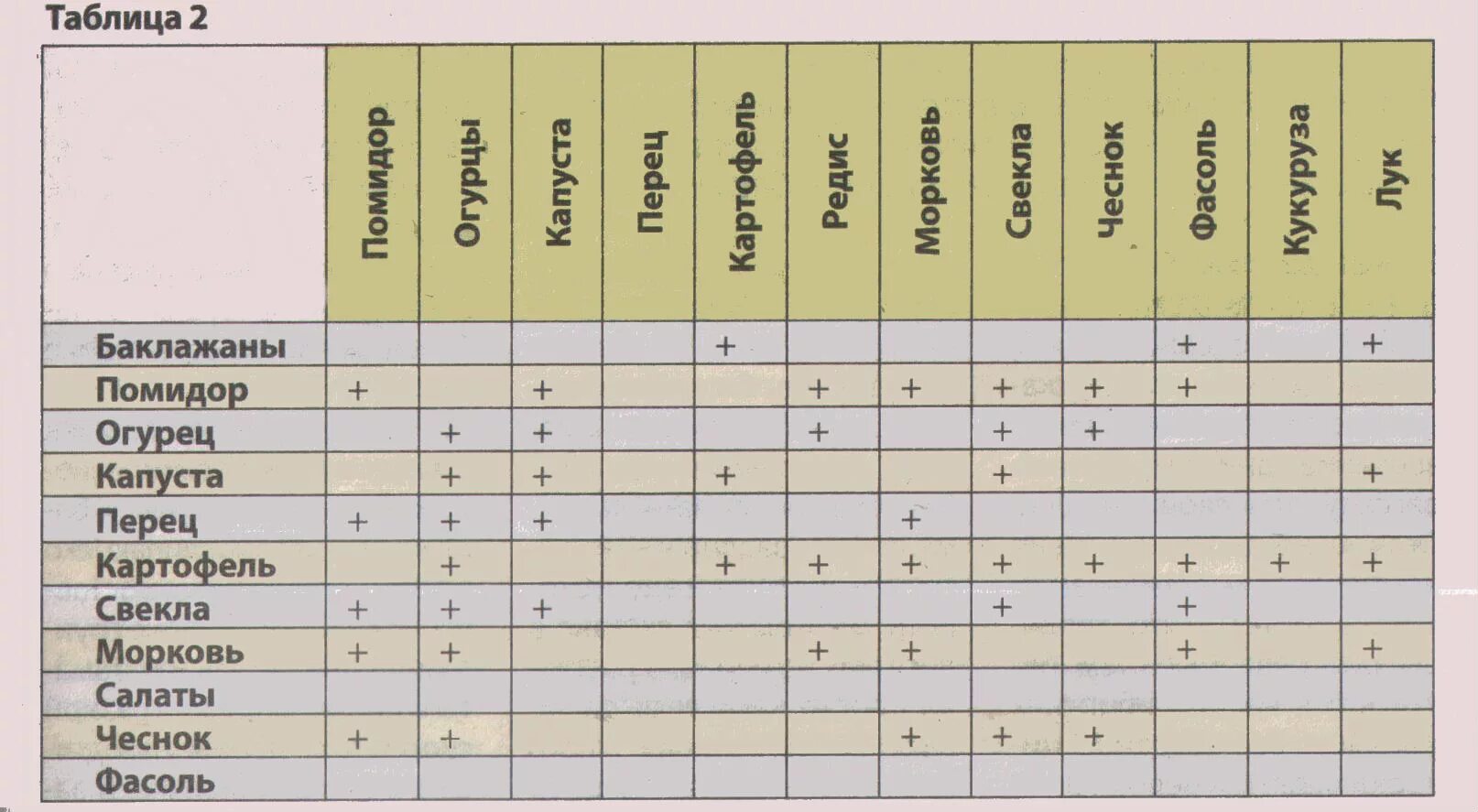 Огурцы и помидоры совместимы. Совместимость на грядке таблица. Таблица совместимости овощных культур. Таблица совместимости посадки овощей на огороде. Таблица совмещенных посадок растений на грядке.