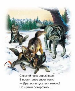 Воспитавшие волками 6