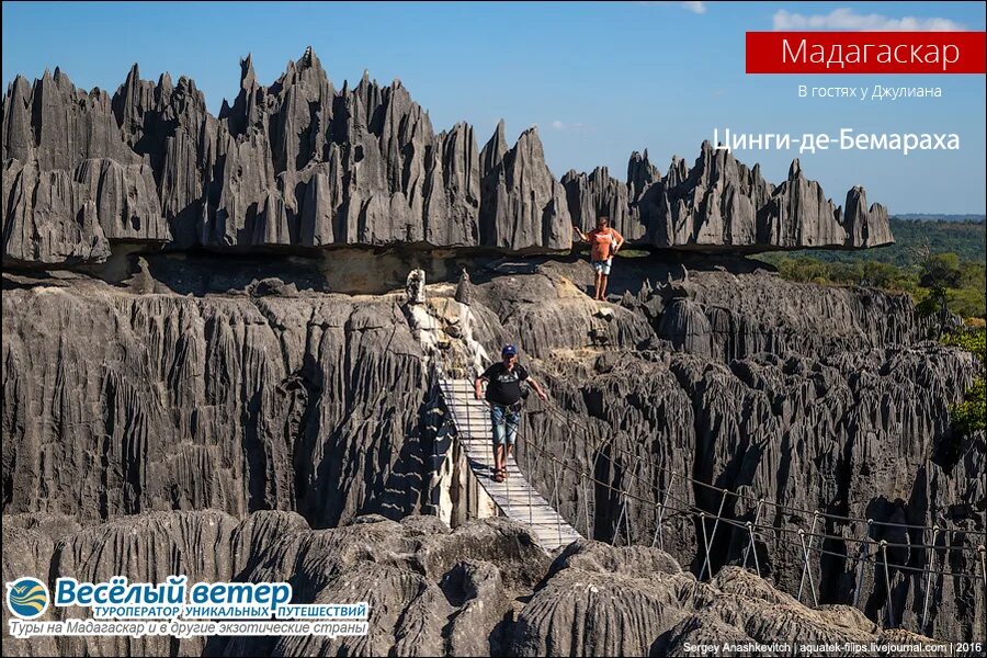 Скал запись