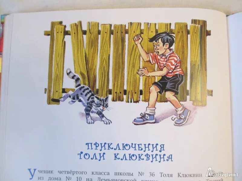 Носов приключения толи Клюквина. Н Носов приключения толи Клюквина. Н.Носов рассказ приключения толи Клюквина.