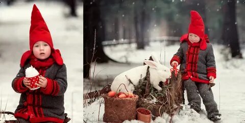 Студия гномики