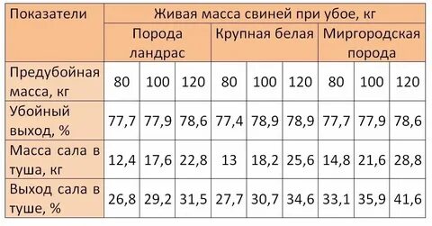 Сколько белка в мясе свинины
