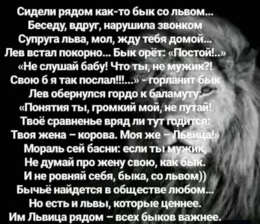 Басня лев и бык