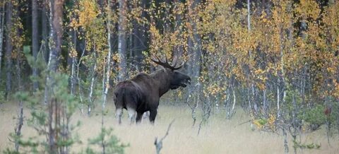 Заповедник телепередача