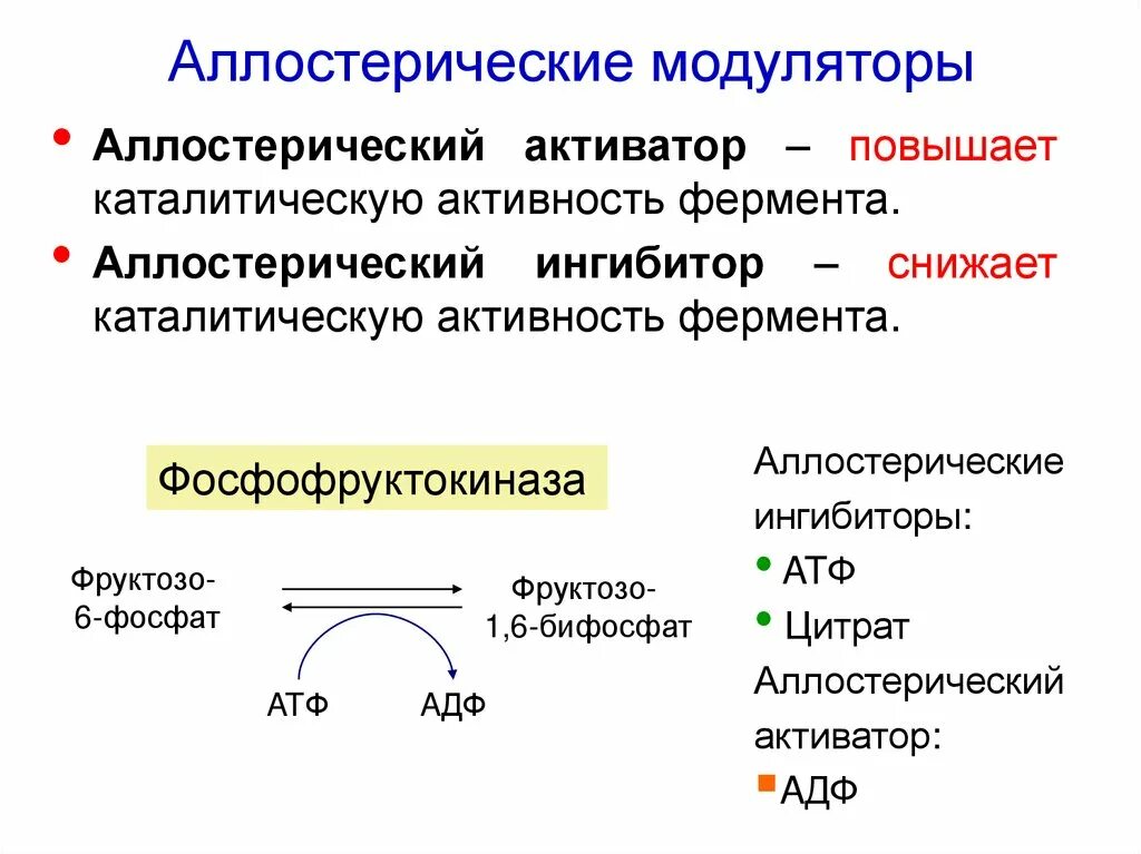 Активность ферментов регулируется. Регуляция активности ферментов схемы. аллостерический модулятор биохимия. аллостерический фермент схема. аллостерический ингибитор пируваткиназы.