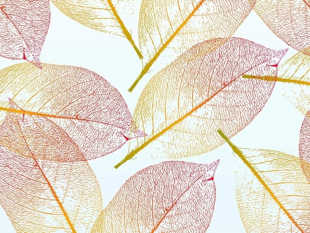 Прозрачные листья. Листья фон. Текстура листа. Листья абстракция.