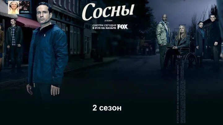 Сосны 2 отзывы. Сосна кедровая сибирская сибирский кедр сеянец. Сосны 2 отзывы. Сосны 2 отзывы. Сосны 2 отзывы.