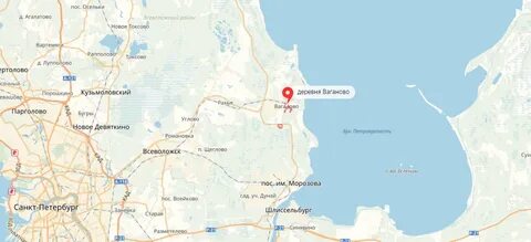 Расписание ручьи осельки сегодня