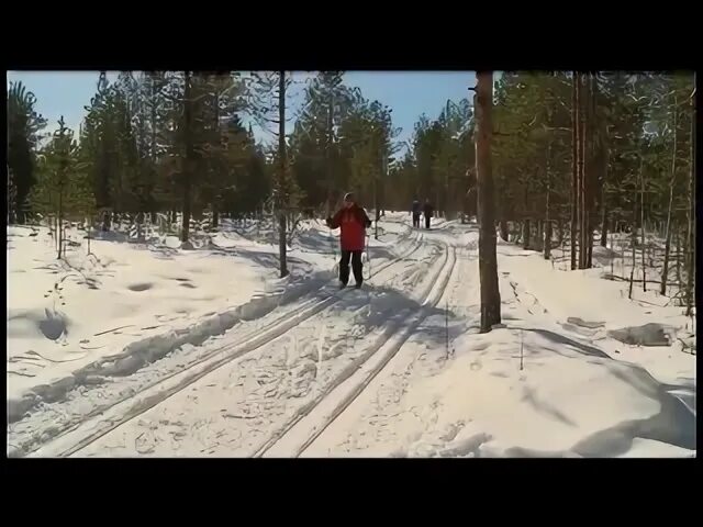Лыжная трасса здоровье