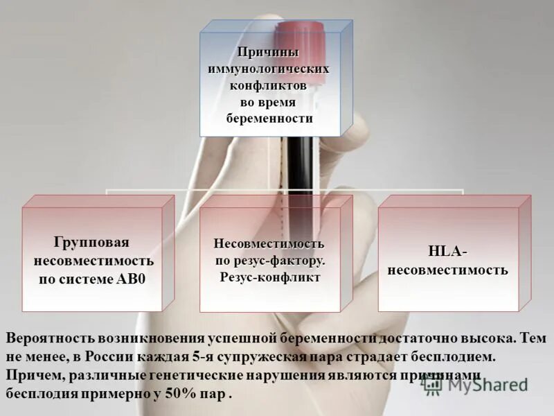 Биологическая несовместимость. Резус конфликт и резус несовместимости. вероятность резус конфликта. иммунологическая несовместимость супругов. причины несовместимости.