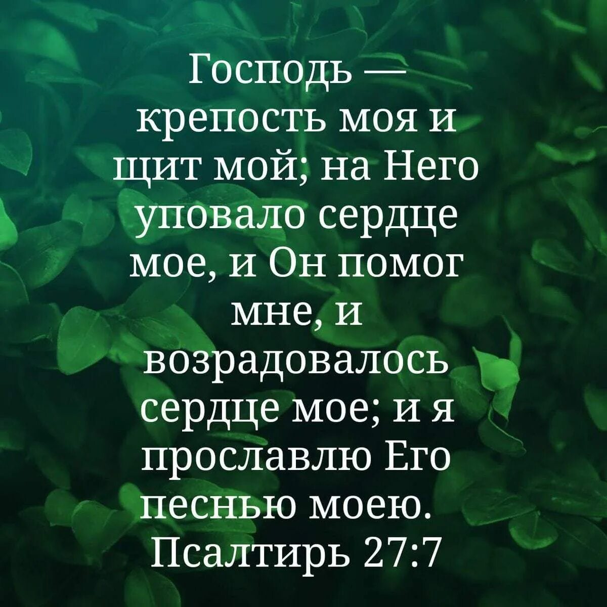 Псалом 3 толкование. С О Господь мой. Господь мой и Бог мой. Господь мой крепость моя. Господь моя сила и щит.