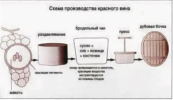 Схема производства вина красное и белое. Технологическая схема производства вина из винограда. Производство вина технология схема. Технология производства вина винодельня. Производство красного вина