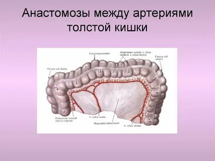 Анастомоз кишечника