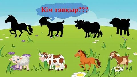 Орыс жетілген мама порно онлайн көру