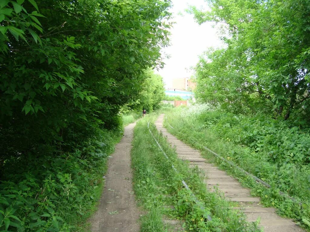 Лосиный город. Лосино-Петровский город. Город Лосино-Петровский Московской области. Тропа в Петровском. Красивые места в Лосино Петровском.