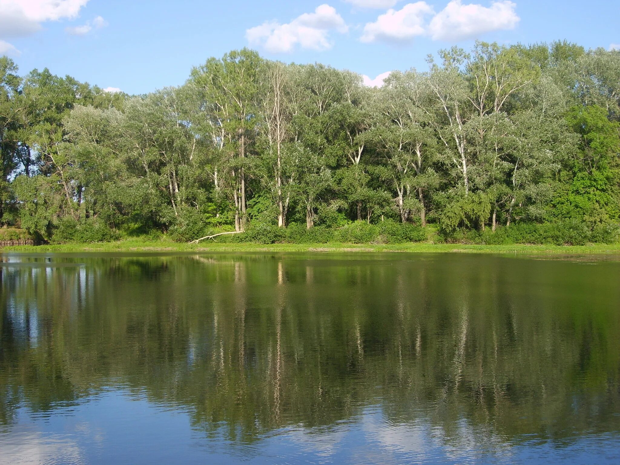 река дема уфа. река дема альшеевский район. дема река раевский. река дема уфа. река дема в башкирии.