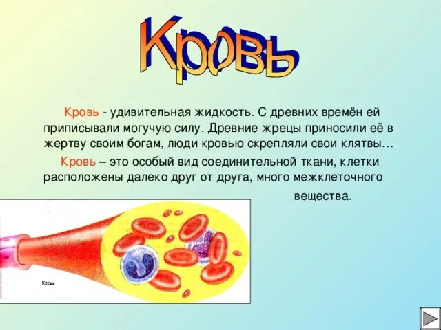 Почему кровь считают. Презентация на тему кровь. Кровь для проекта.