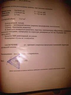 Заключение для эко образец