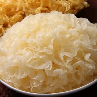 Коралловый гриб рецепт приготовления