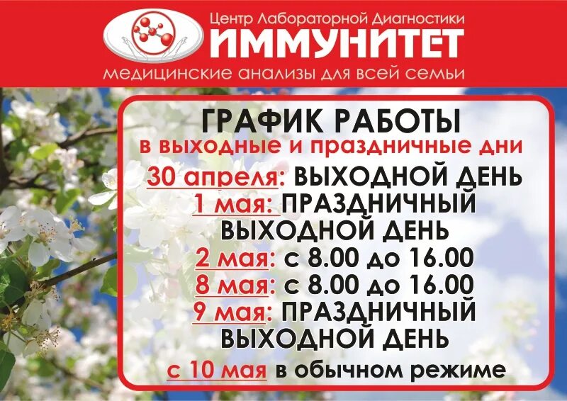 График работы в новогодние праздники 2023