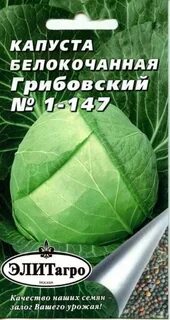 Грибовская капуста описание сорта характеристика