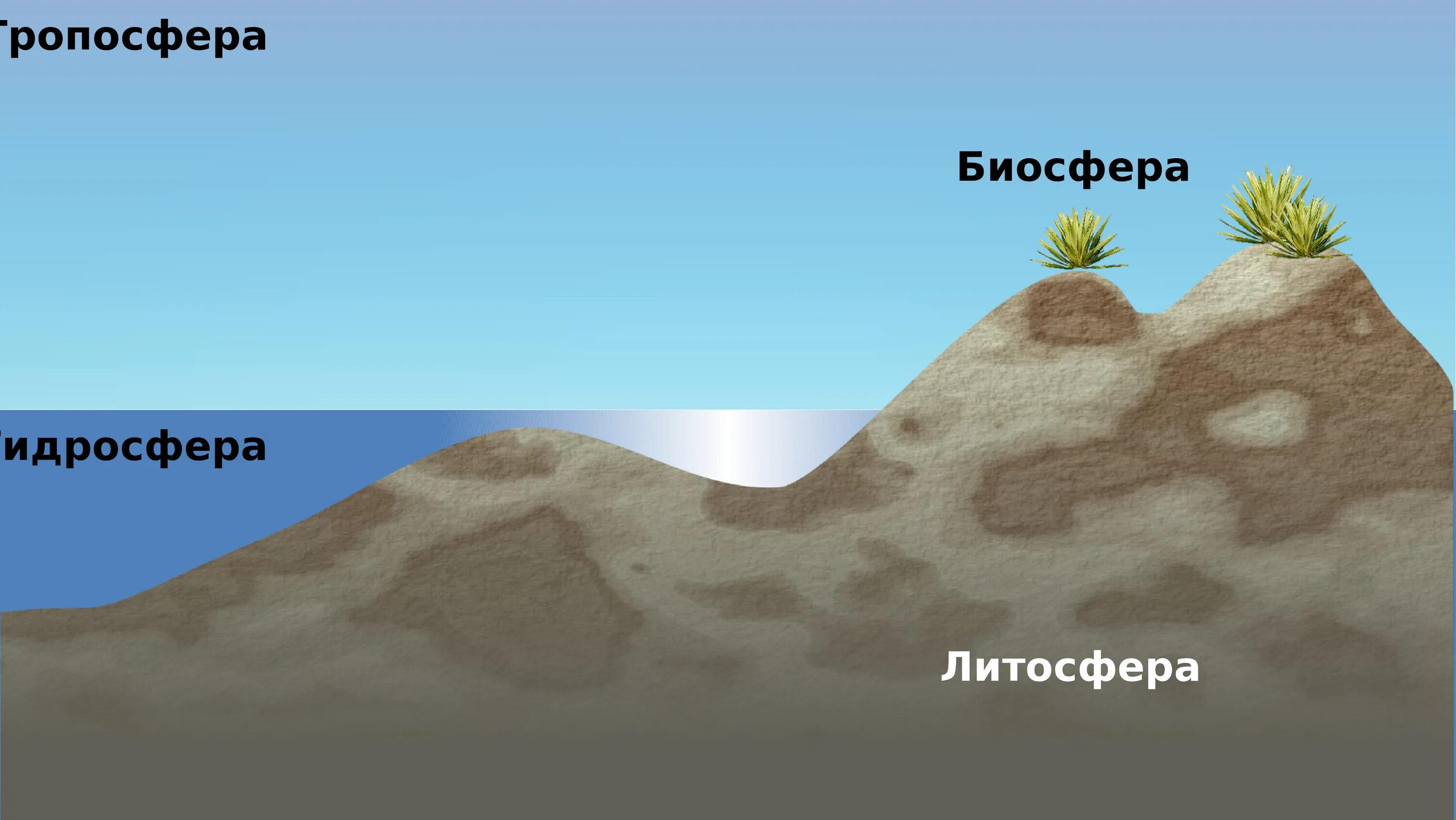 Литосферы горной породы. Рельеф горные породы климат воды почвы растения. Горные породы биосферы. Литосфера. Климат почва рельеф картинки.