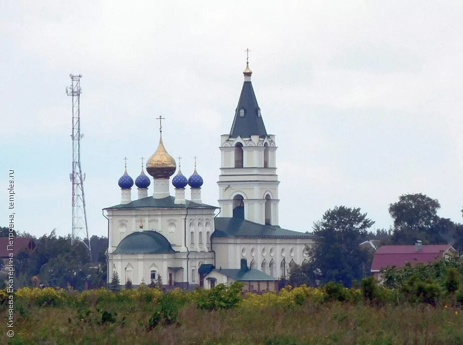 Большое козино балахнинский район