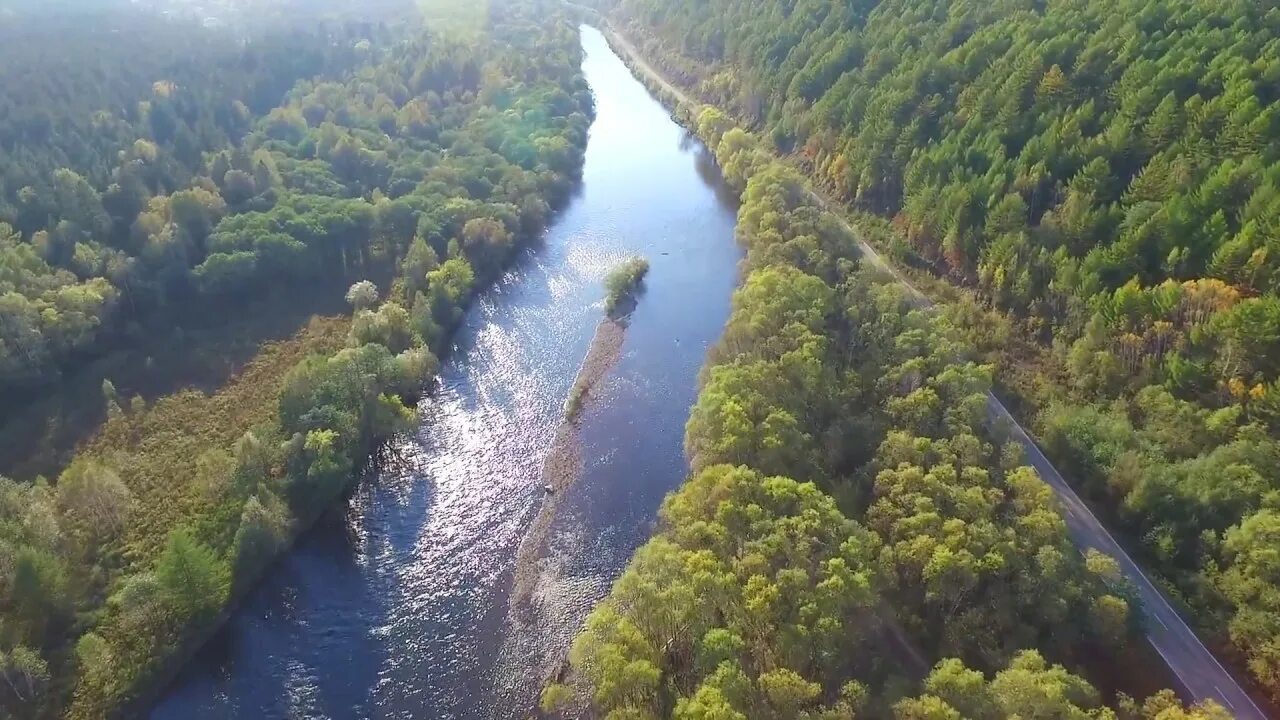 Включи канал природа. Включи канал природа