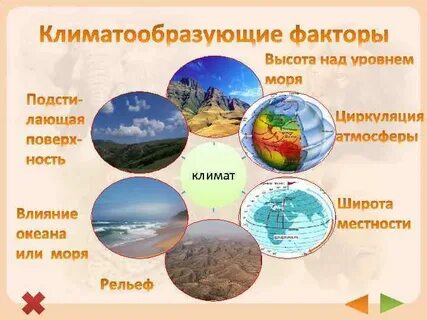 Рисунок климатообразующие факторы