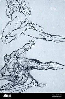 Ink study for The Raft of the Medusa: two flayed cadavers. 24.2 x 34.3 cm . Unkn