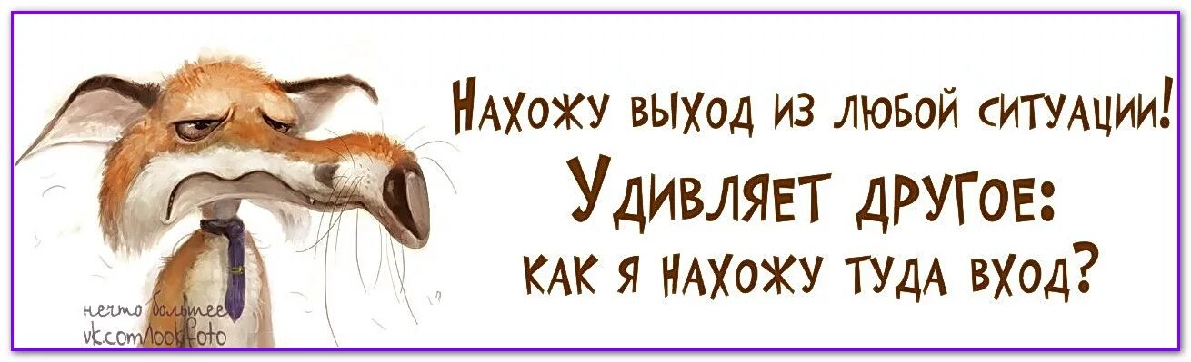 Веселые умные фразы. Смешные и Мудрые высказывания. Умные фразы с юмором. Умные Веселые цитаты.