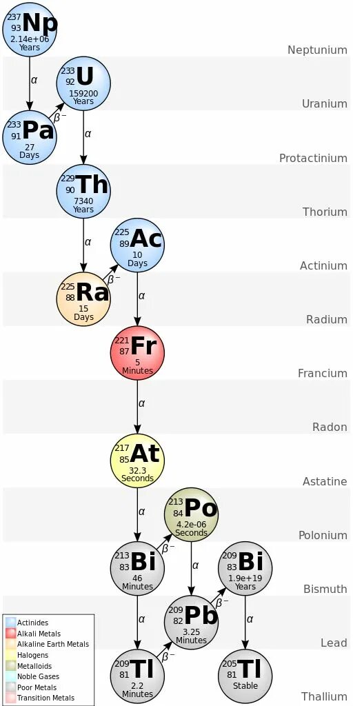 Цепочка распада тория 232. Цепочка распада урана 238. Радиоактивный ряд нептуния. Цепочки распада.