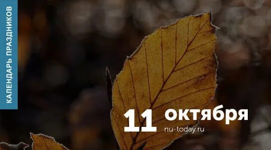 Today, October 11, we celebrate: #феодосий_гулялки_бродилки@anothercity Internat